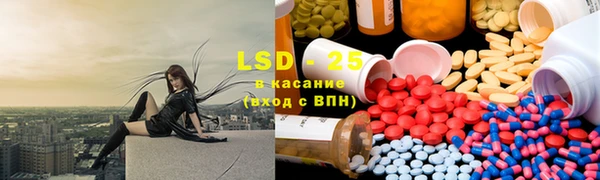 крисы Тайга