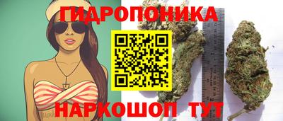 дживик Аргун