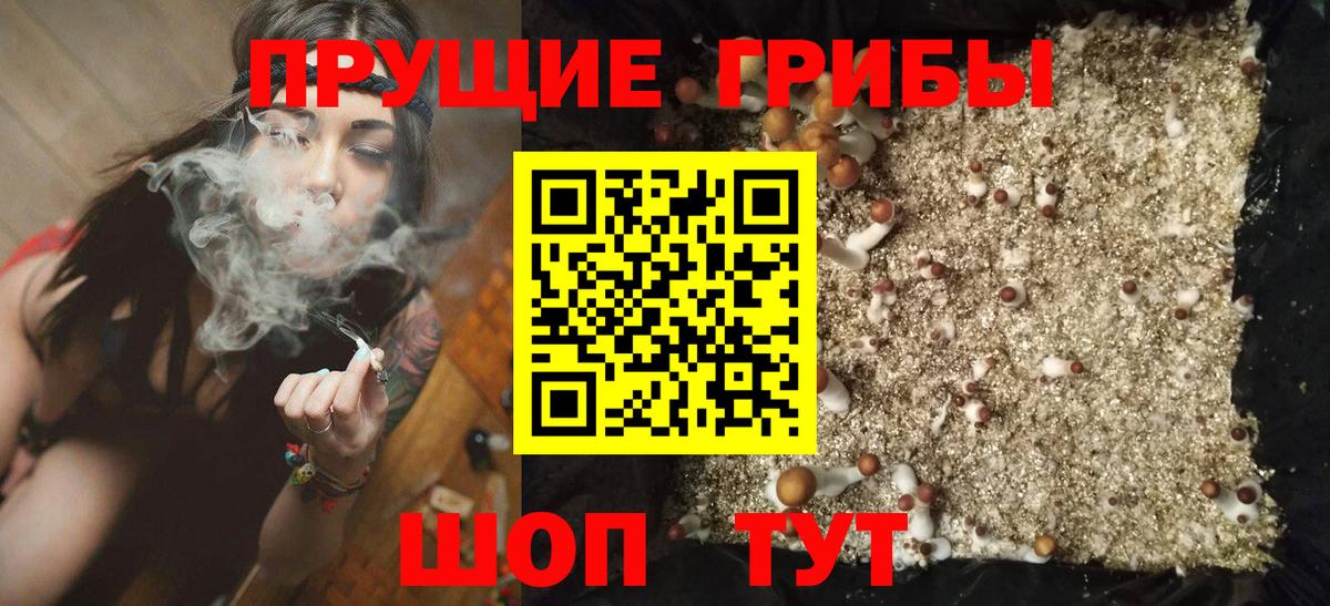 Дагестанские Огни  Галлюциногенные грибы прущие грибы  Вход с VPN  Псилоцибиновые грибы Magic Shrooms 